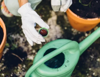 does liquid fertilizer expire