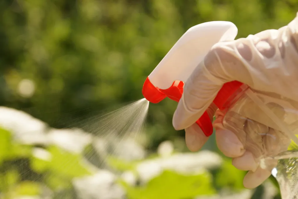 how do you use liquid fertilizer
