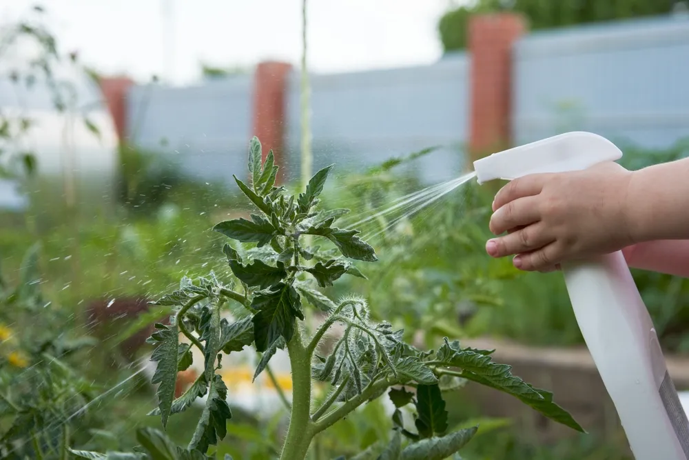 how do you use liquid fertilizer