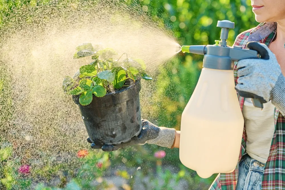 how do you use liquid fertilizer