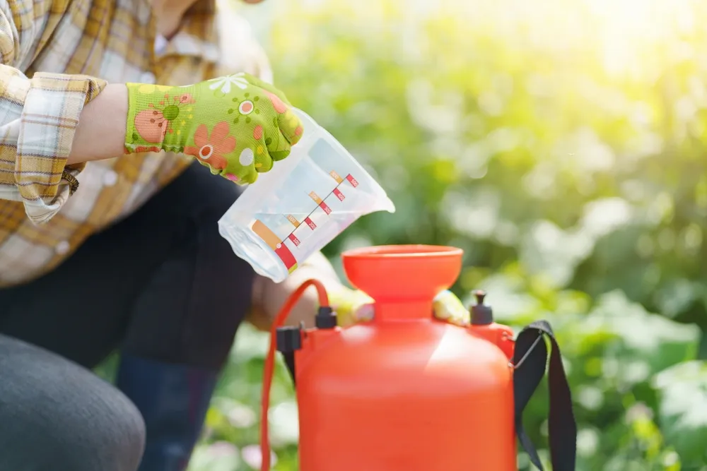 is liquid fertilizer better than granular