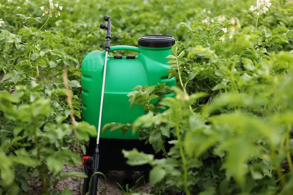 is liquid fertilizer better than granular
